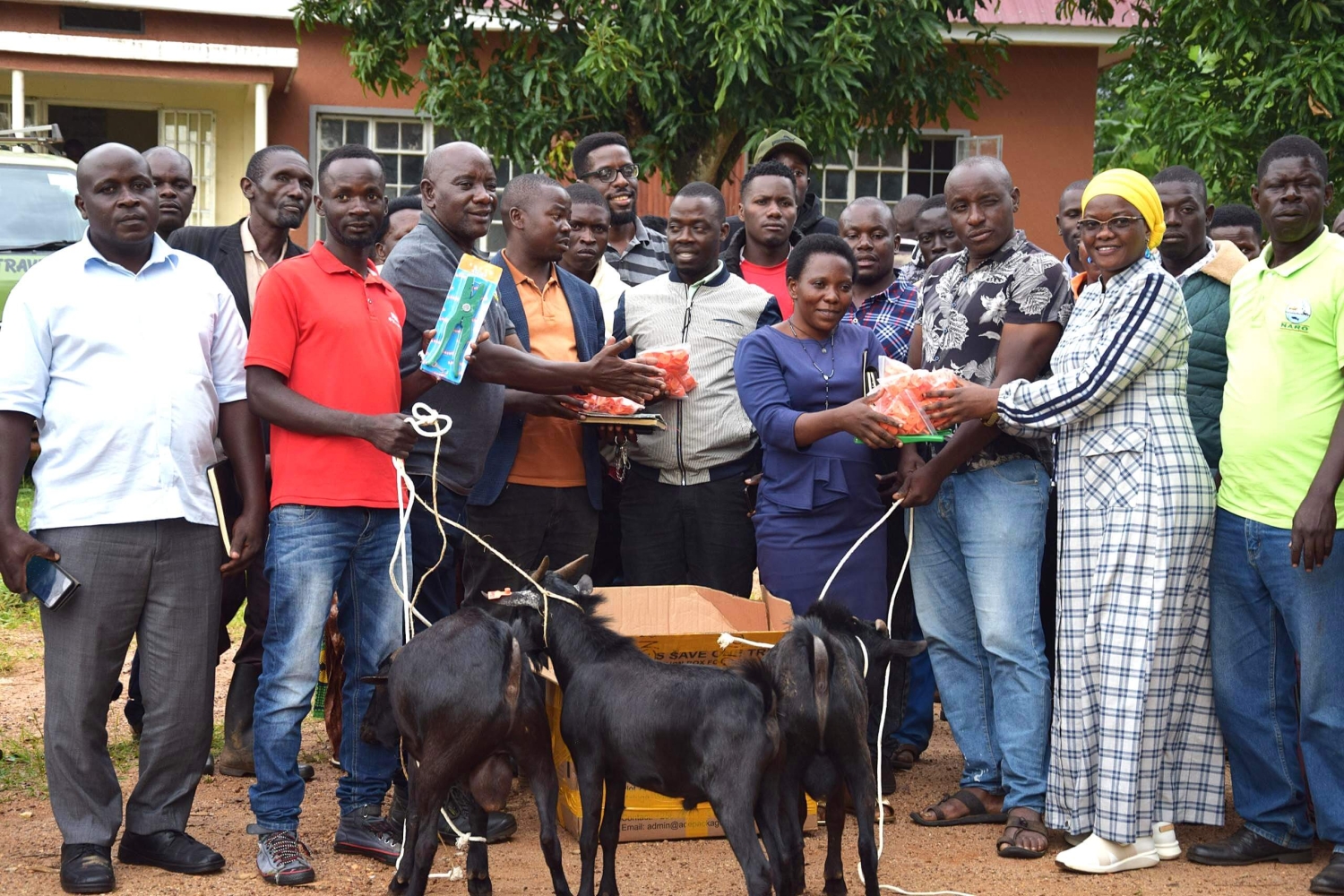 Breeding for Resilience: Thanks to AICCRA Project, Western Uganda’s Farmers Take Charge of Saving the Indigenous Goat