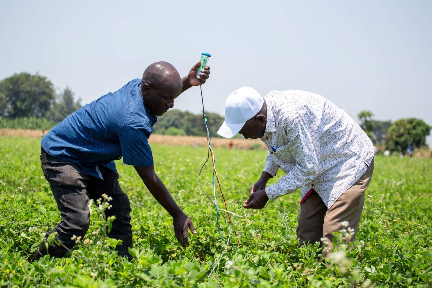 When an African farmer earns USD8,276 in a year, we call it success: How ASARECA, AICCRA partners  and Virtual Irrigation Academy tool are turning-around smallholder irrigated farming in Uganda