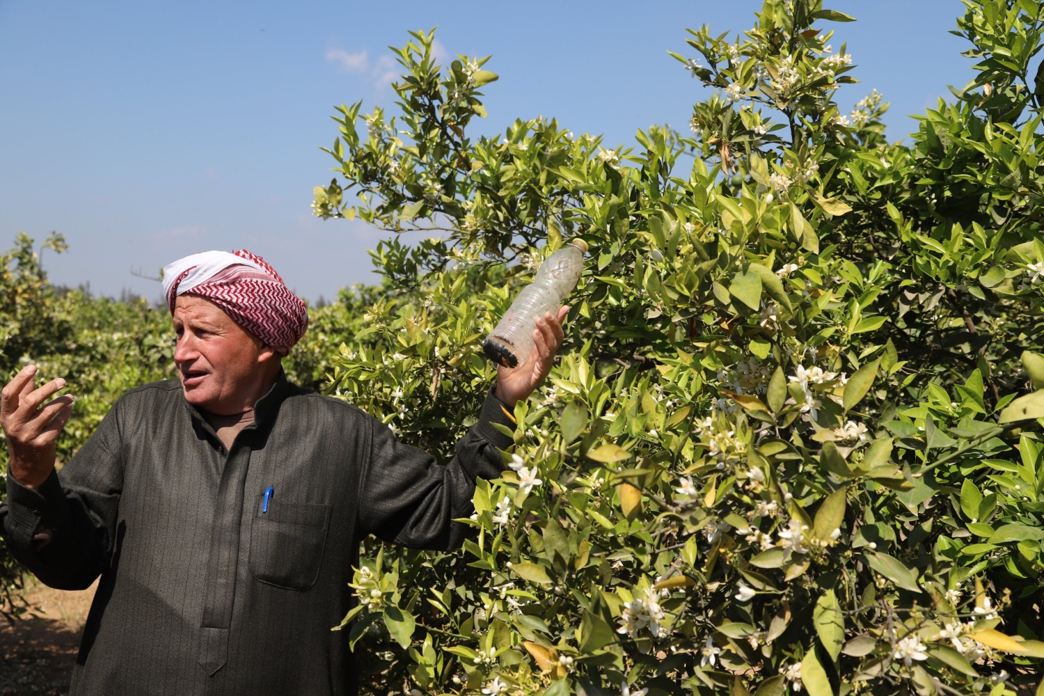 WATDEV Project Promotes Adoption of Climate-Smart Water Management BMPs Outside Study Areas in Kenya and Egypt 