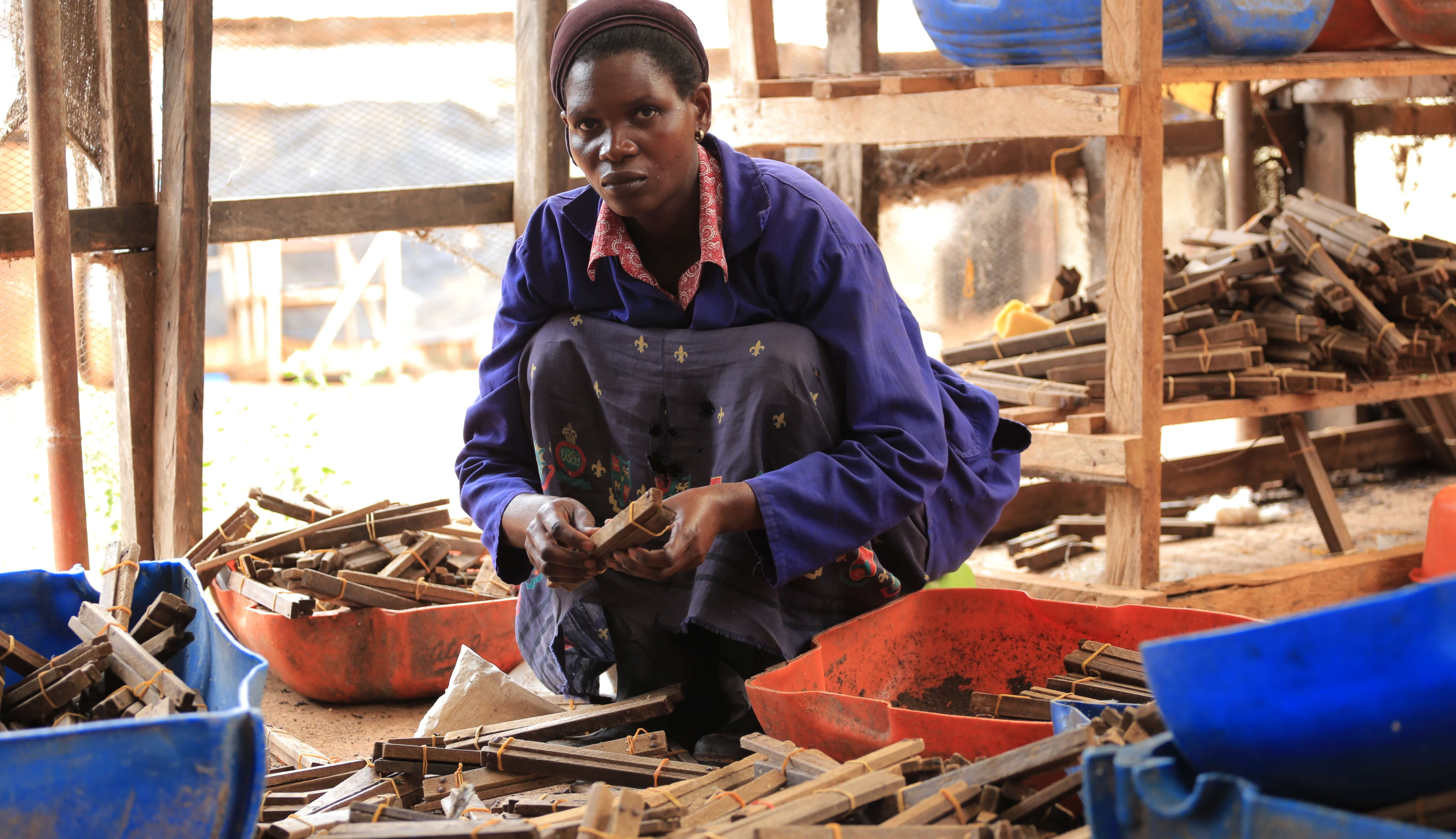A youthful farmer prepares wooden racks where the Black Soldier Fly lays its eggs at Darwesh Mpungwe Foods Limited in Mayuge district.